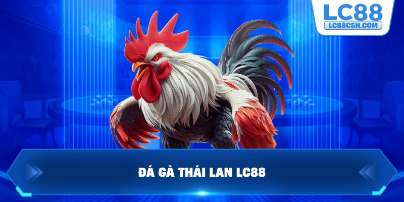 Đá gà Thái Lan LC88
